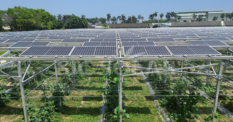 Verkennen van de ideale omvang van een zonnepark: het nieuwste perspectief in 2024